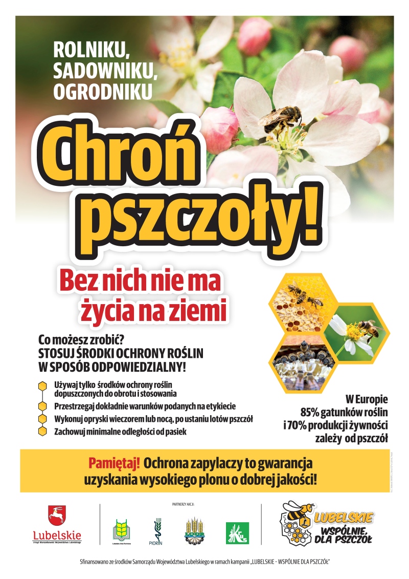 chron pszczoly 2020 Plakatm